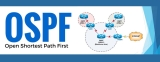 پروتکل OSPF چیست و چه کاربردی دارد؟